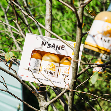 N'SANE Tasting Box met 3 smaken (3 x 200ml)