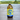 Olmi Ginger 320ml