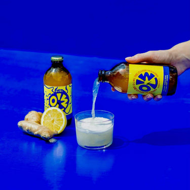 Olmi Ginger 320ml