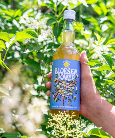 Roze Bunker - Bloesem Power