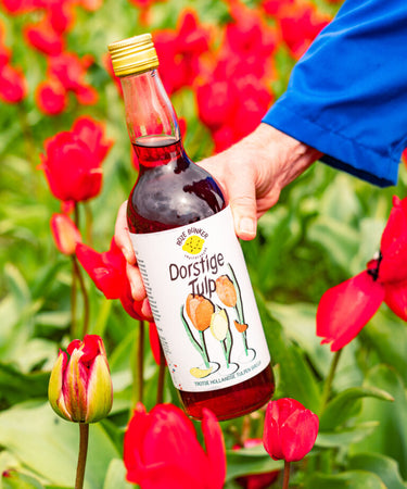 Roze Bunker - Dorstige Tulp