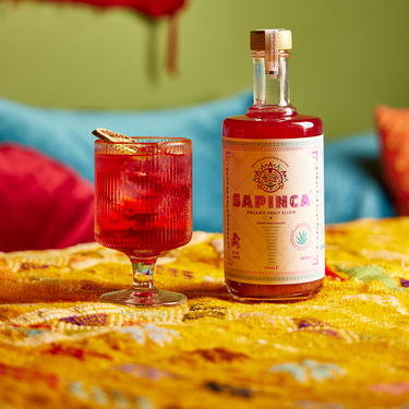 Sapinca Fruit Elixir 500ml